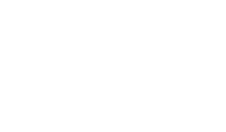 Logo SFL